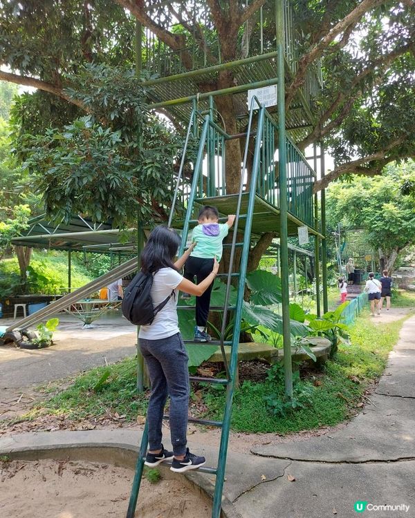 【暟。玩。樂】#40 Hoilday Farm【農莊系列 6】