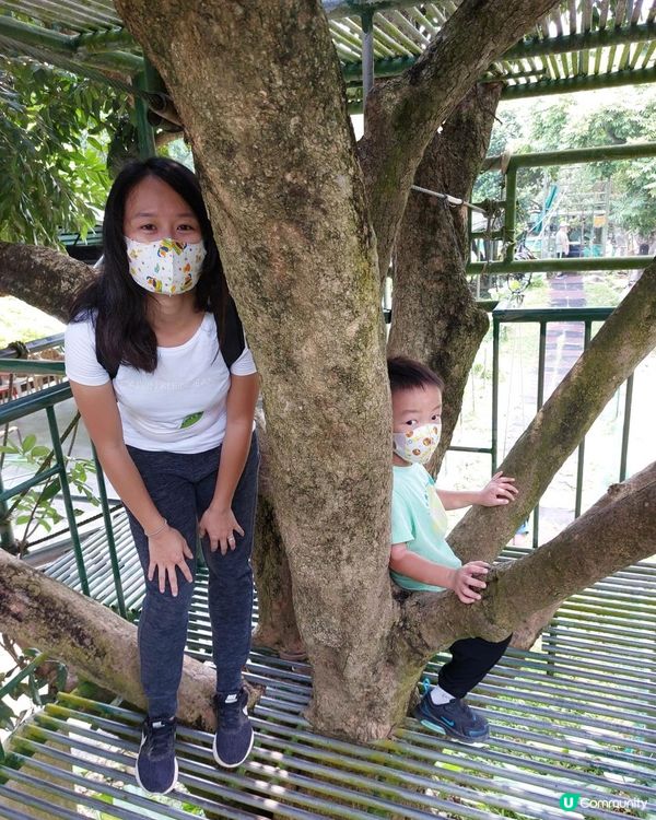 【暟。玩。樂】#40 Hoilday Farm【農莊系列 6】