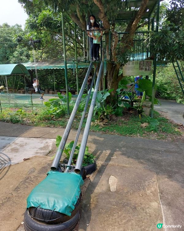 【暟。玩。樂】#40 Hoilday Farm【農莊系列 6】