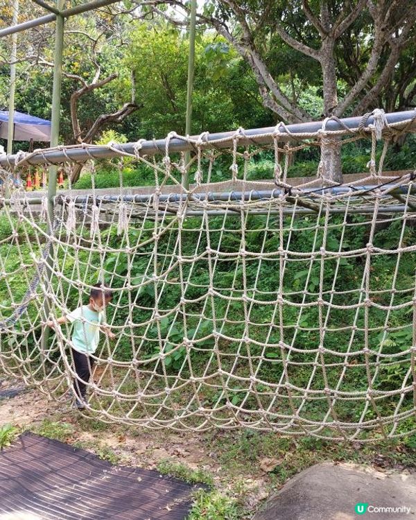 【暟。玩。樂】#40 Hoilday Farm【農莊系列 6】