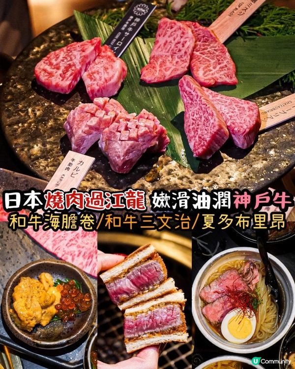 《日本燒肉過江龍🇯🇵嫰滑油潤神戶牛🐃🔥》
