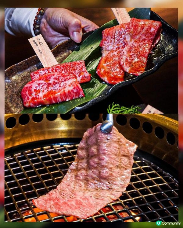 《日本燒肉過江龍🇯🇵嫰滑油潤神戶牛🐃🔥》