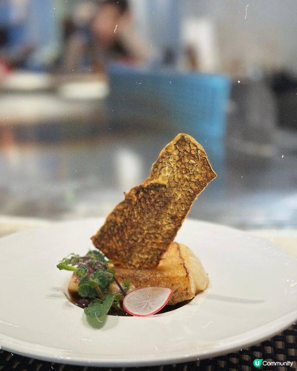 高質食材 鉄人旨花🤍