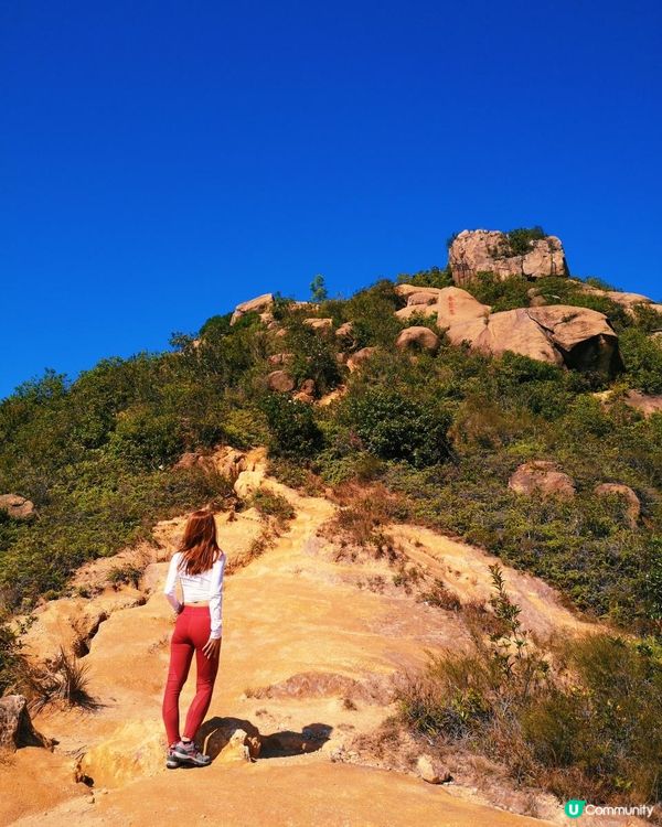 [行山要打卡]34 - 春花落。三支香