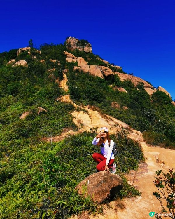 [行山要打卡]34 - 春花落。三支香