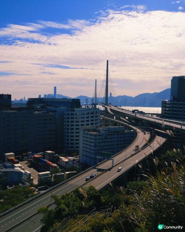 [行山要打卡]34 - 春花落。三支香