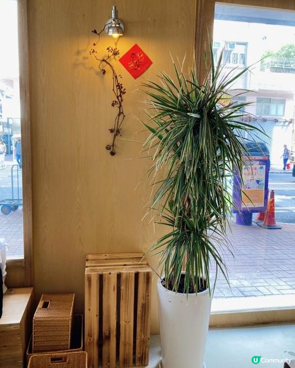 Belly Go Round-不苦