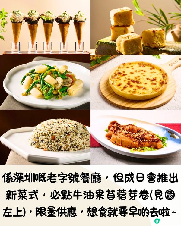 深圳6大素食餐廳推介🥗創意素食料理/幽靜庭院風裝潢‼️