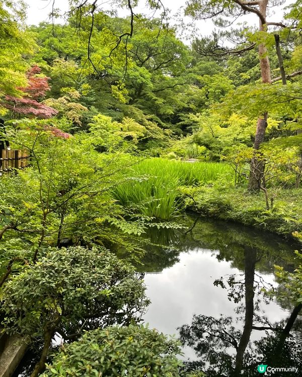 🇯🇵最美私人美術館😍😍-根津美術館