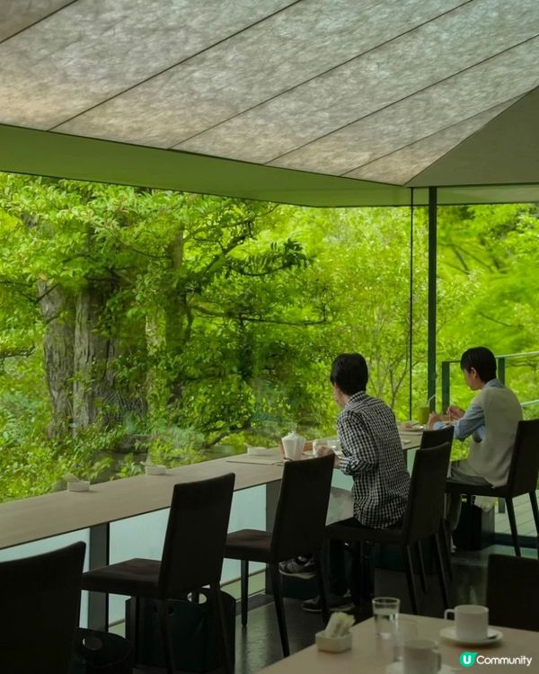 🇯🇵最美私人美術館😍😍-根津美術館