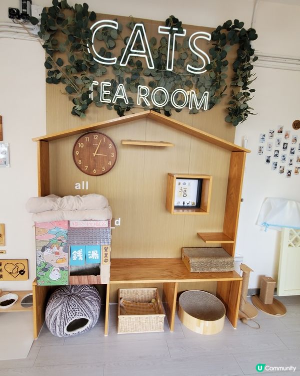 Cat Tea Room 貓之茶房🐱☕️
