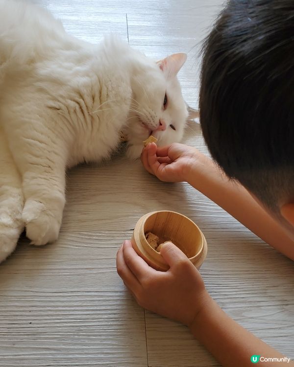 Cat Tea Room 貓之茶房🐱☕️
