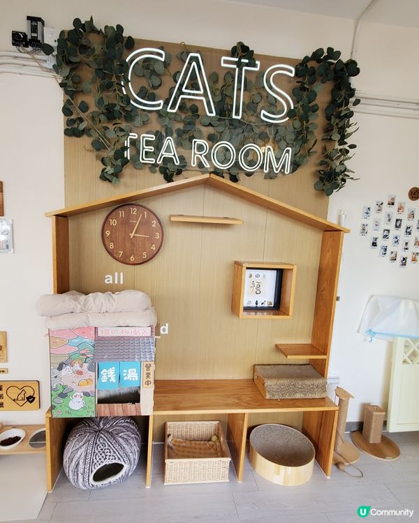 Cat Tea Room 貓之茶房🐱☕️
