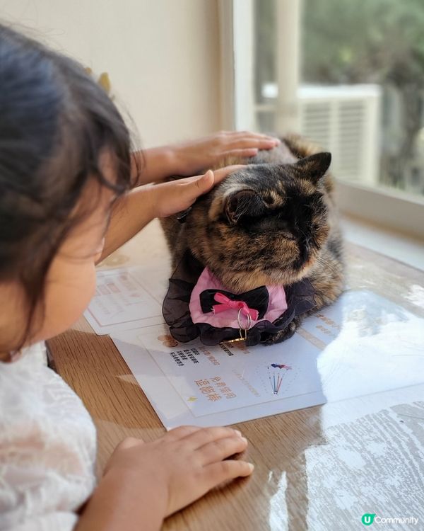 Cat Tea Room 貓之茶房🐱☕️
