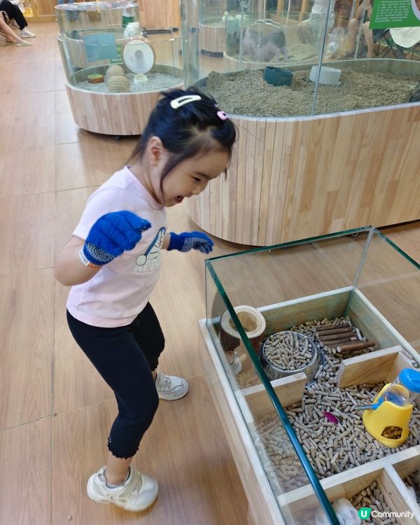 深圳驚喜島自然探索樂園