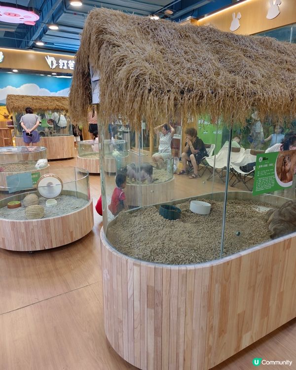 深圳驚喜島自然探索樂園