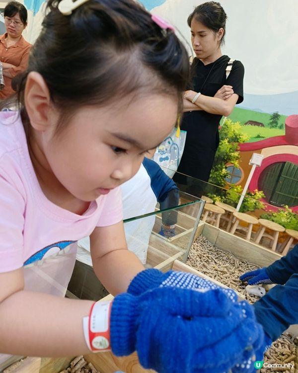 深圳驚喜島自然探索樂園