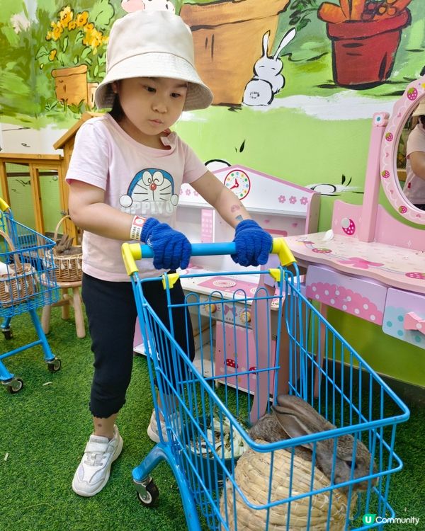 深圳驚喜島自然探索樂園