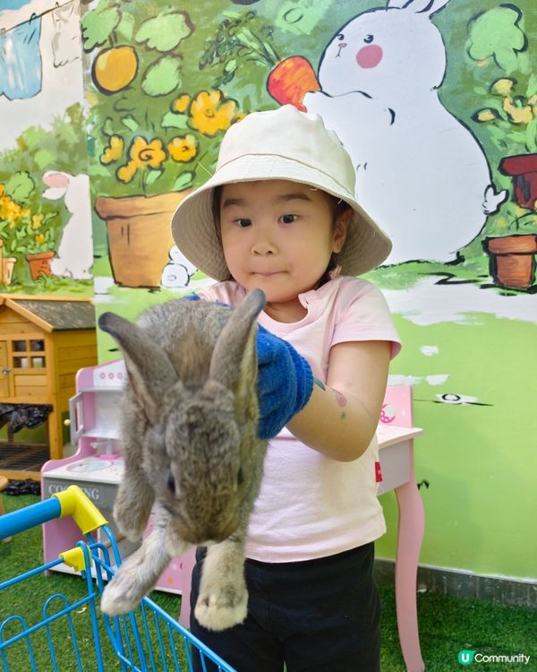 深圳驚喜島自然探索樂園