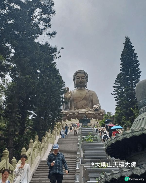 去香港著名景點大嶼山寶蓮神子 一日， 欣賞宏偉的天壇大佛 然...