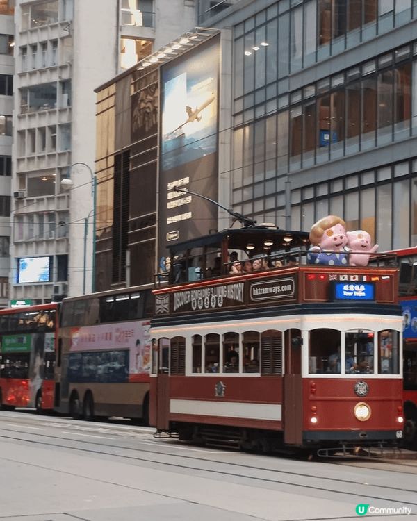 香港親子好去處, 先到中環半山堅道聖母無原罪主教座堂參觀, ...