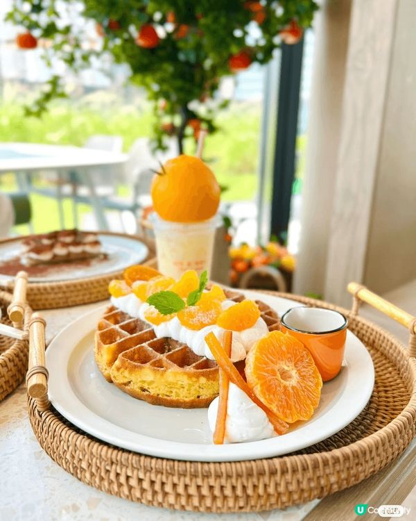 香港|啟德玻璃屋cafe