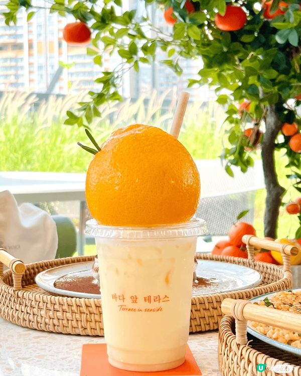 香港|啟德玻璃屋cafe