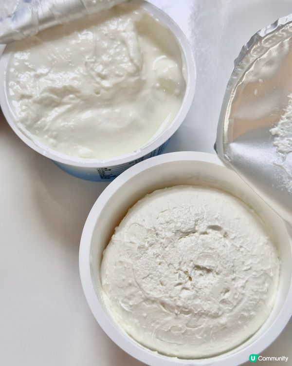 🇰🇷韓國世一希臘乳酪推薦！Greek Day！