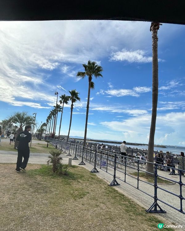 夏日熱情綻放 — 泉州夢花火