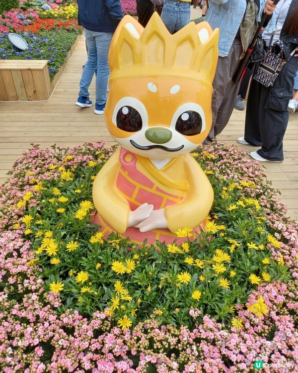 16-3-2024 花卉展覽