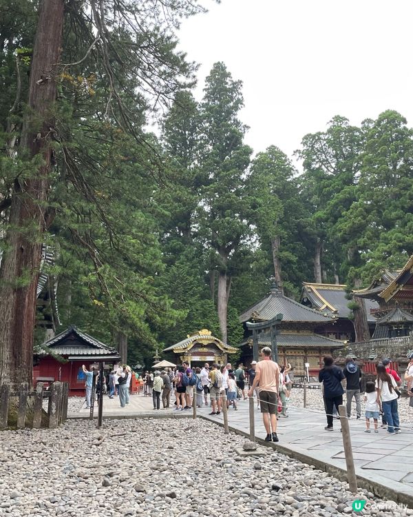日光東照宮🏯  豪華絢爛🤩