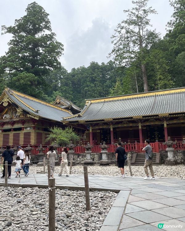 日光東照宮🏯  豪華絢爛🤩