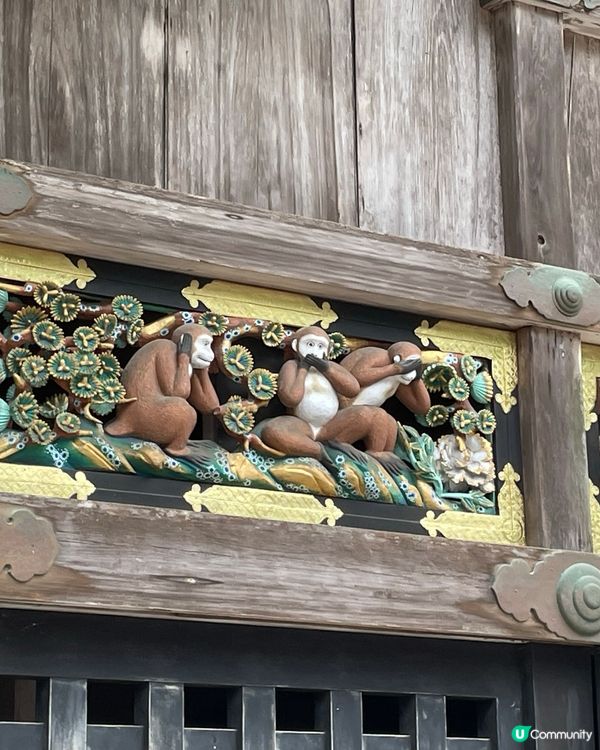 日光東照宮🏯  豪華絢爛🤩