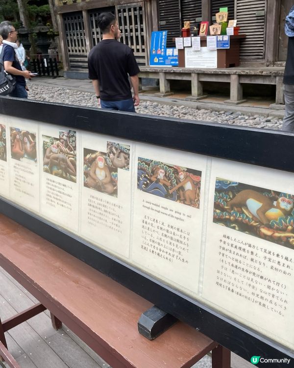 日光東照宮🏯  豪華絢爛🤩