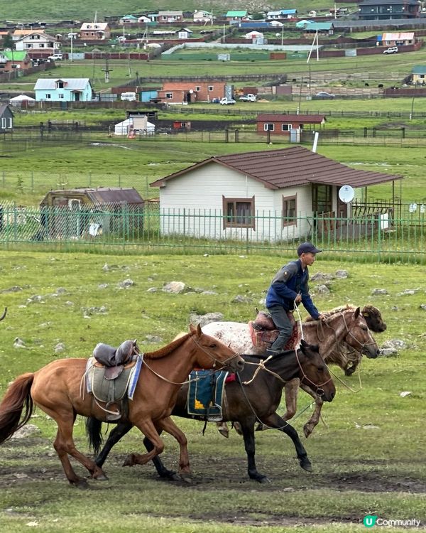 2024 蒙古國 Mongolia 🇲🇳遊記