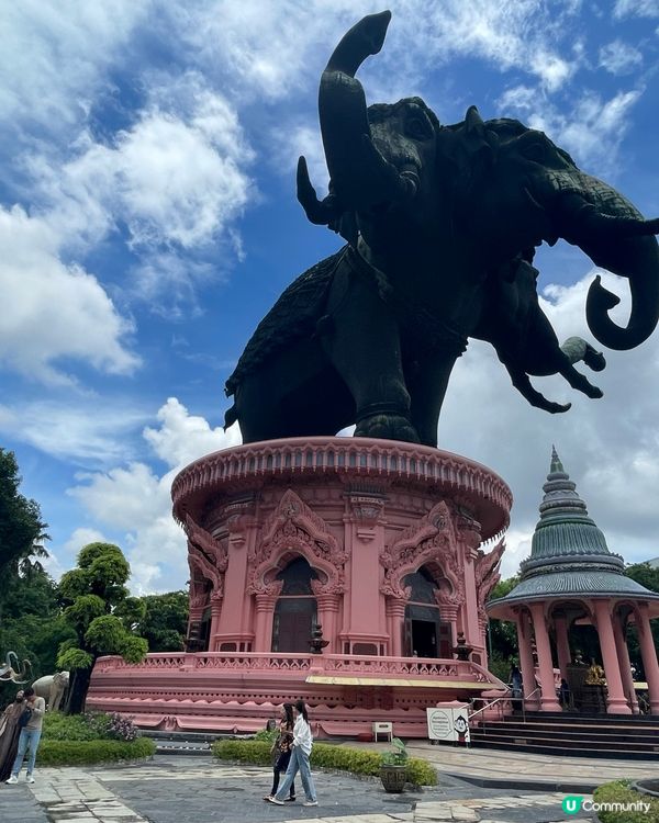 粉色夢幻之旅🐘💖