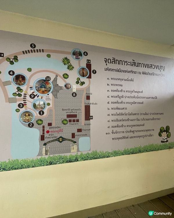 粉色夢幻之旅🐘💖