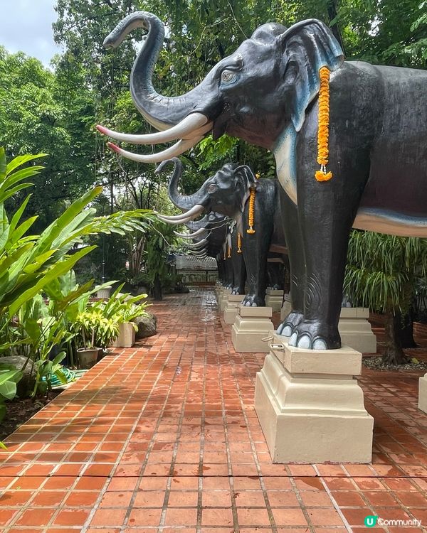 粉色夢幻之旅🐘💖