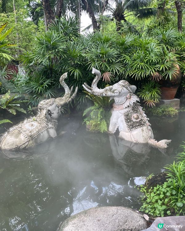 粉色夢幻之旅🐘💖