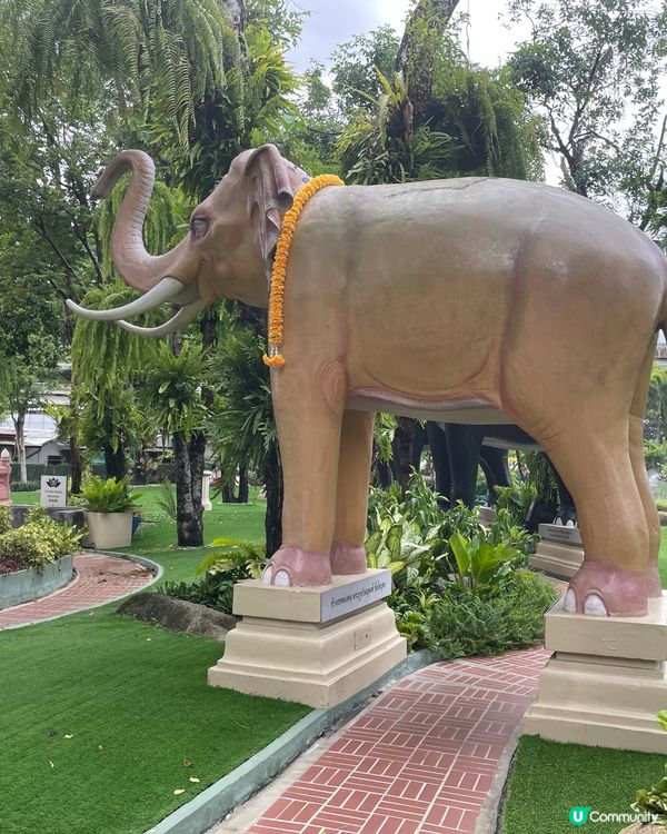 粉色夢幻之旅🐘💖