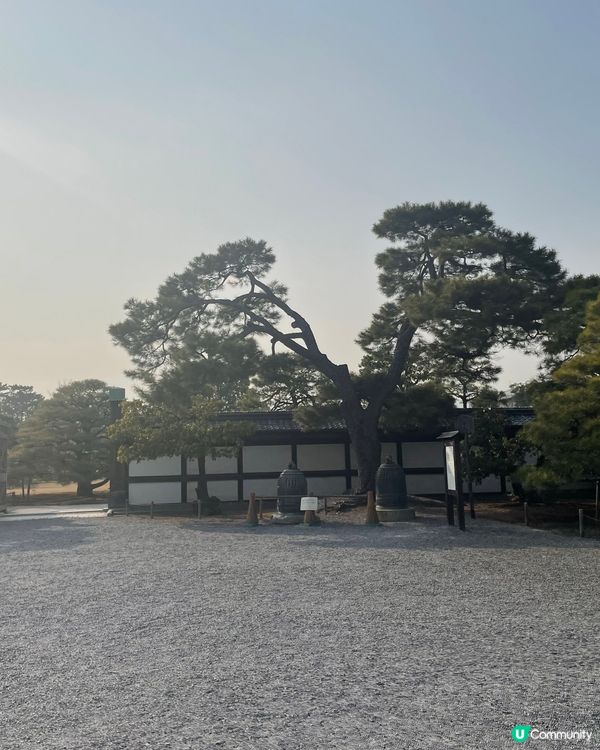 京都必去🏯 二條城，歷史文化之旅！