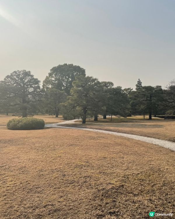 京都必去🏯 二條城，歷史文化之旅！