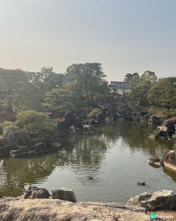 京都必去🏯 二條城，歷史文化之旅！