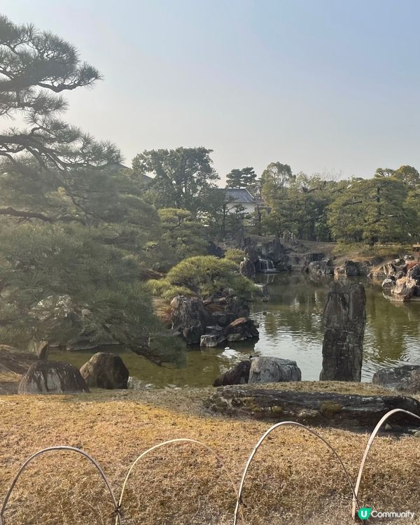 京都必去🏯 二條城，歷史文化之旅！