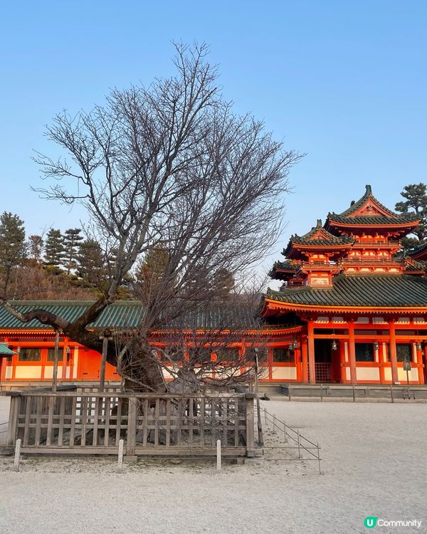 ## 京都平安神宮，打卡必去！🏯✨