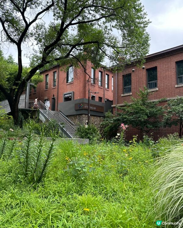 🇰🇷韓國鐘路區最美圖書館📚