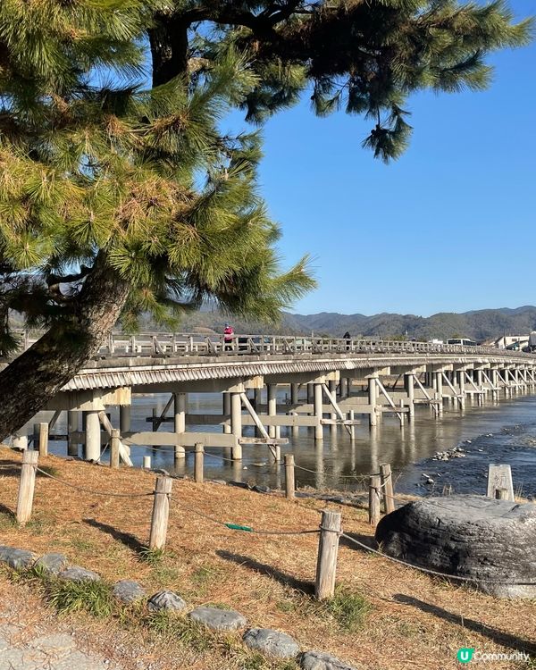 嵯峨嵐山渡月橋，美景醉人！🤩