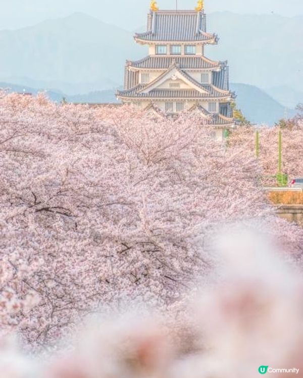 1566年木下藤吉郎（後來的豐臣秀吉）