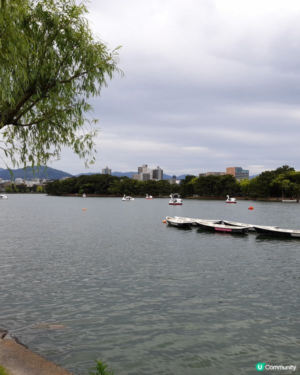 大濠公園食早餐