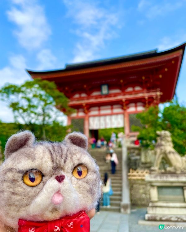 🇯🇵日本京都清水寺 多個打卡位📸